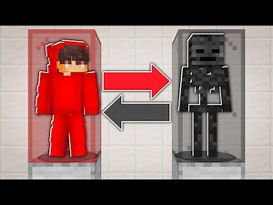 BRAIN SWAP: I BECAME A WITHER SKELETON in Minecraft