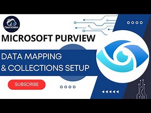 How to setup Microsoft Purview Data Mapping and RBAC for Collections