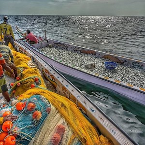 3.3M views · 42K reactions | Jackpot!! கோடி கணக்கில் “indian sardine “ மாட்டிக்கிச்சு!! Wow!! Indian Sardine Filled My Small Boat!! #fishing #tiruchendurmeenavan | Thiruchendur Meenavan | Facebook