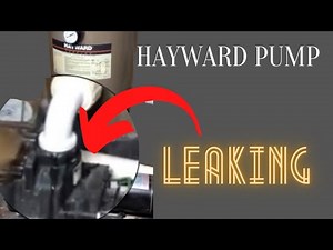 How to Fix Leaks on Hayward pump
