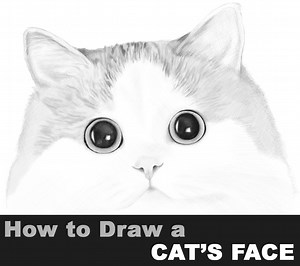 How to Draw a Cat’s Face – Realistic Portrait – Step by Step Drawing Tutorial – How to Draw Step by Step Drawing Tutorials