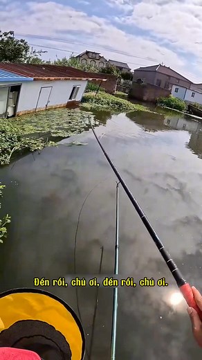 39K views · 632 reactions | Săn Cá Chép Tập 9. #câu #cauca #cá #fishing #fish #sanhang #caphi #caucathugian #fishinglife | CÂU CÁ | Facebook