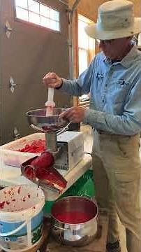 The BEST Homemade Tomato Sauce | Simple and Fresh! 🍅🌿