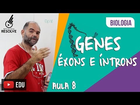Éxons e Íntrons - Gene: Ação diferencial do gene na formação do RNA