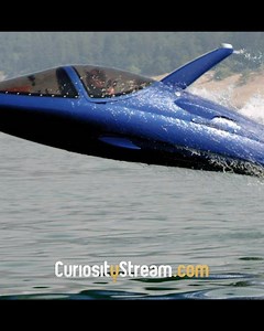 With thousands of history, science, nature, & technology shows on demand, it's time to get curious. Start your free trial today. | Curiosity Stream