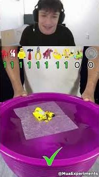 DÜNYANIN En Küçük SANDALYESİNİ Taşımak İçin KAÇ PEÇETE GEREK⁉️🪑