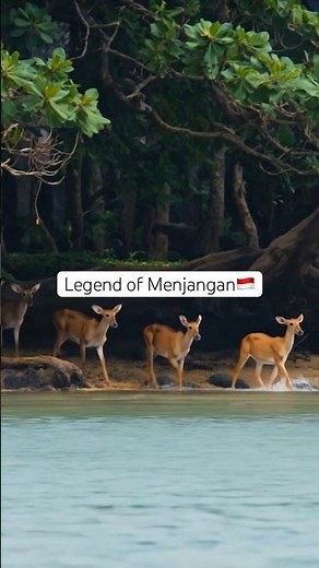 Deer island's legendary secret finally uncovered 🇮🇩 #bali #legend #travel