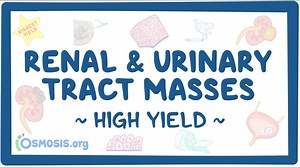 Renal and urinary tract masses: Pathology review: Video, Causes, & Meaning | Osmosis