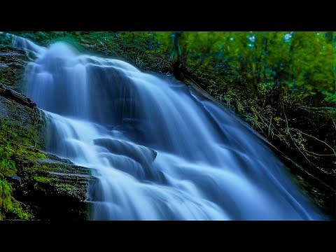 Fall Asleep to Powerful Waterfall Ambience | Water White Noise Sleep Sounds