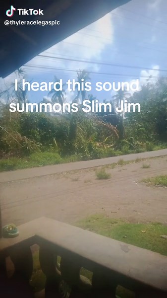 Understanding the Slim Jim Summon Sound