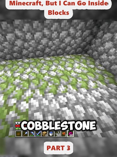 Minecraft, But I Can Go Inside Blocks (3)