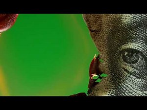 free green screen money burning transition