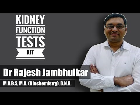 Kidney Function Tests