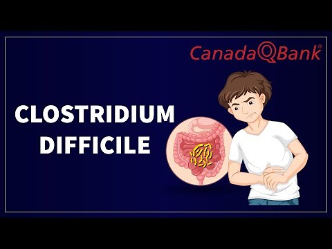 Clostridium Difficile Infection: Causes, Symptoms & Treatment | C. diff Explained | CanadaQBank
