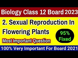Class 12 Biology Chapter 2 Sexual Reproduction In Flowering Plant Important Question CBSE Board 2023
