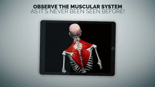 Posture App with 3D Videos | Postural Disorders, Treatment, Tests, Etc.
