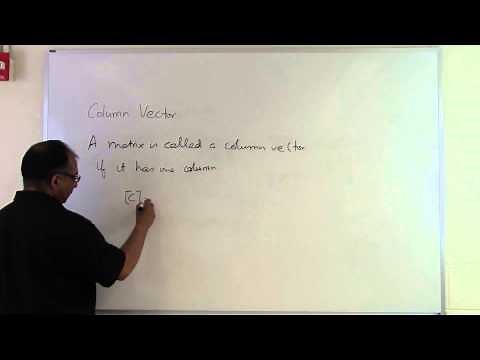Chapter 04.01: Lesson: What is a column vector?
