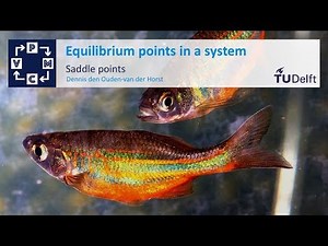Equilibrium points in a system - Mathematical Modelling - Mathematics - TU Delft