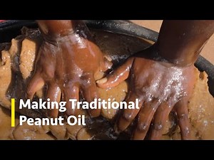 How Groundnut Oil Is Made