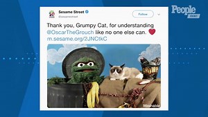 Grumpy Cat, the Internet's Favorite Forever-Frowning Feline, Has Died