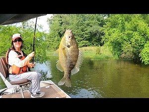 bluegill fishing with crickets pt1