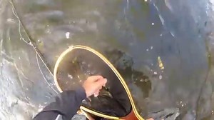 DIY Guide to Fly Fishing the Lackawanna River: Pennsylvania's Revitalized Gem | DIY Fly Fishing