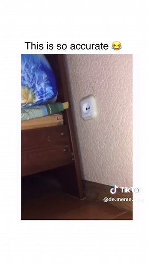 Funny Meme Compilation | The Plug