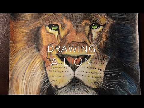 How to draw Aslan from Narnia