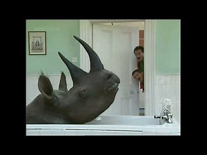 ChuckleVision 12x01 No Pets Allowed