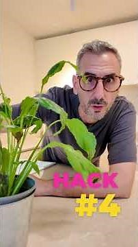 Easy Canva Website Hacks? Yes, please.