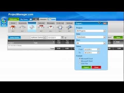 How to Use Timesheet Project Management Software: