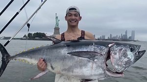Bluefin Tuna Boom Lures Fishermen to New York Harbor