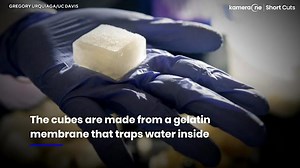 Scientists create 'revolutionary' ice cubes that don't melt