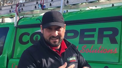 How to Get Rid of Birds in Your Attic | Bird Control