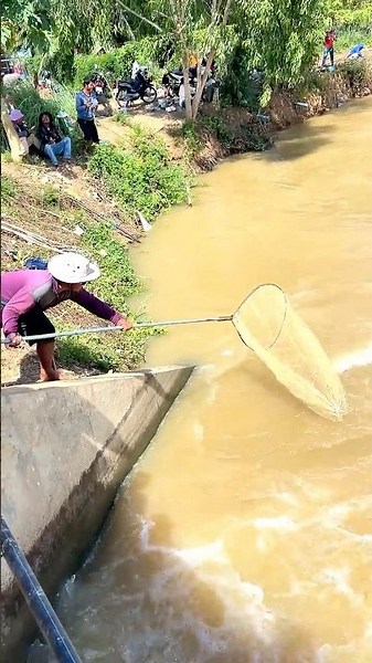 Real Life 100% Net Fishing In River At The Countryside (Part 1618) #fishing #fish #new