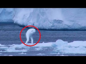 10 Mysterious Creatures Caught on Camera