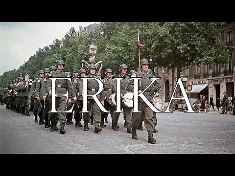 ERIKA - FR traduction - (Vidéo pédagogique)