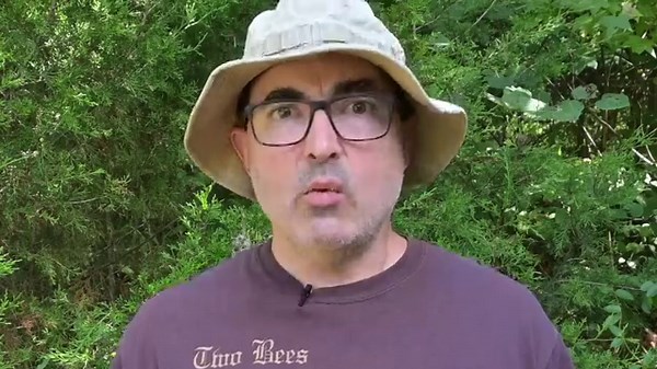 Eastern Redcedar Facts That Will Surprise You!