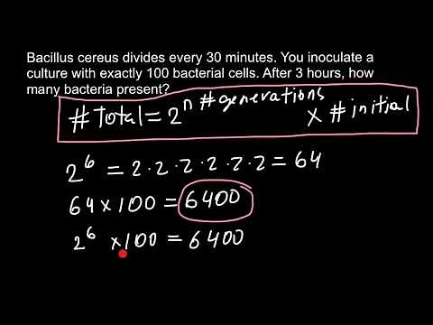 How to calculate exponential growth of bacteria