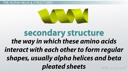 Alpha Helix Structure | Beta Sheet, Hydrogen bonds & Proteins
