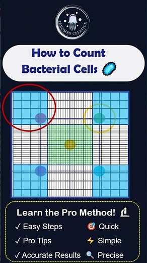 How to Count Bacterial Cells Like a Pro: Hemocytometer Edition 🔬🧫 #BacteriaCounting #microbiology