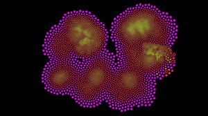 2.4K views · 76 reactions | A fractal is a detailed pattern that...