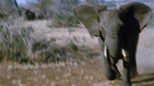 209K views · 9.6K reactions | On Jan. 6, 1963, the world met Marlin...