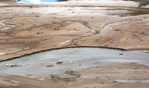 How to Get Out of Quicksand—a Complete Survival Guide