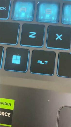 Windows key flashing! (Hold function key FN and F8 keyboard light settings)