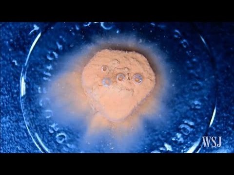 Watch Common Pills Dissolve With Time-Lapse Video