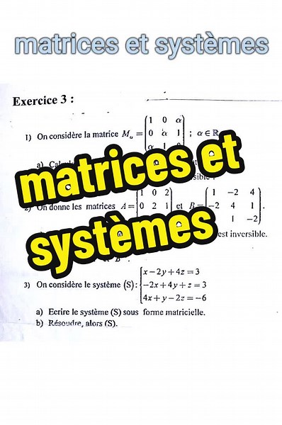 Correction d'exercices de matrice et système pour bac éco