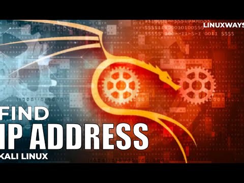🔎 How to Find IP Address of ANY Website Host | Command in Kali Linux