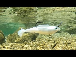 Fishing Z-Man HerculeZ Swimbaits for Striped Bass | Field Test Favorite