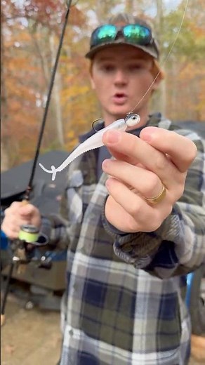 How to Rig the Rapala Mooch Minnow